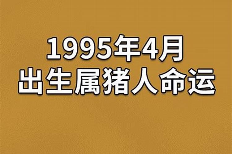 1995年生今年爱情运势