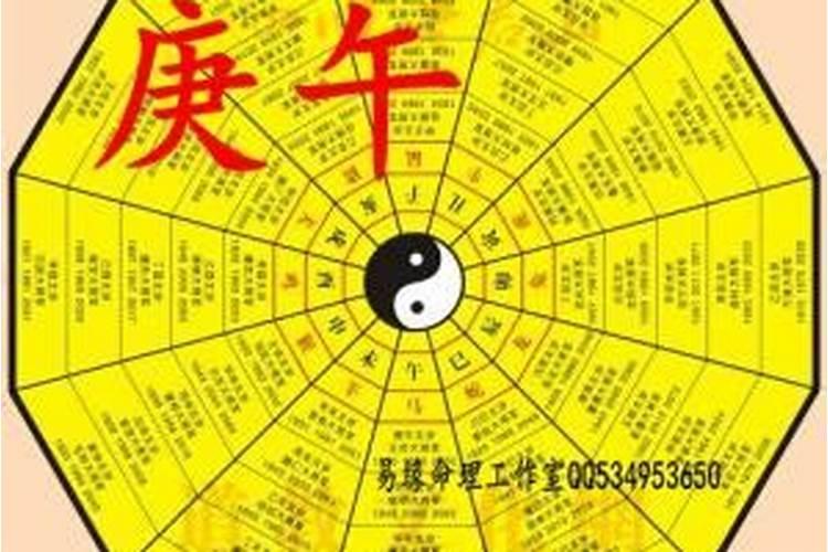 梦见老鼠预示有大虫子在身上咬我