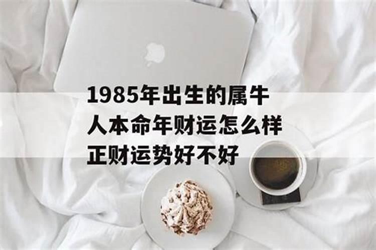 1985年出生人运势