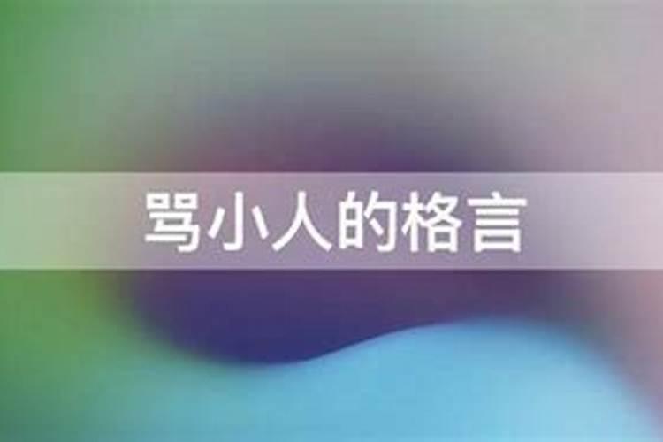 梦见龙眼树结满了成熟的果实