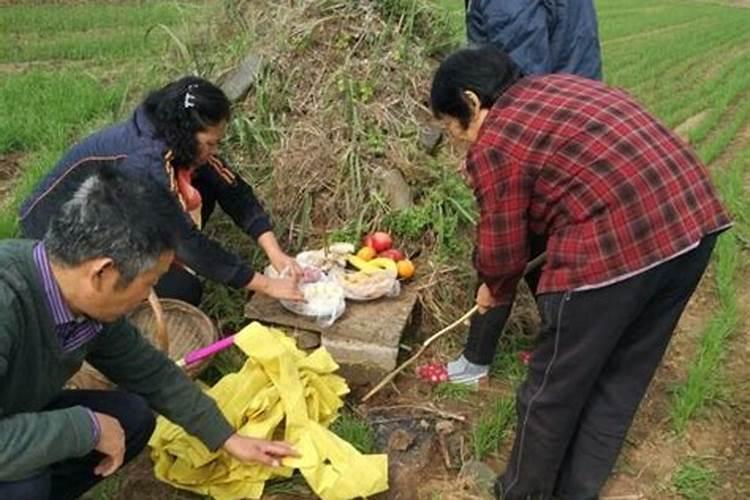 十月初一应拿什么食品祭奠