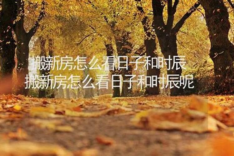 梦见狮子咬我什么意思