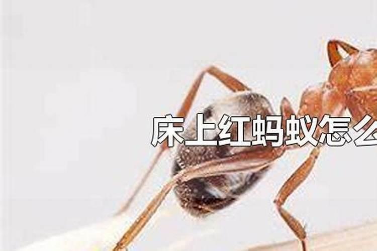 超度大型法事