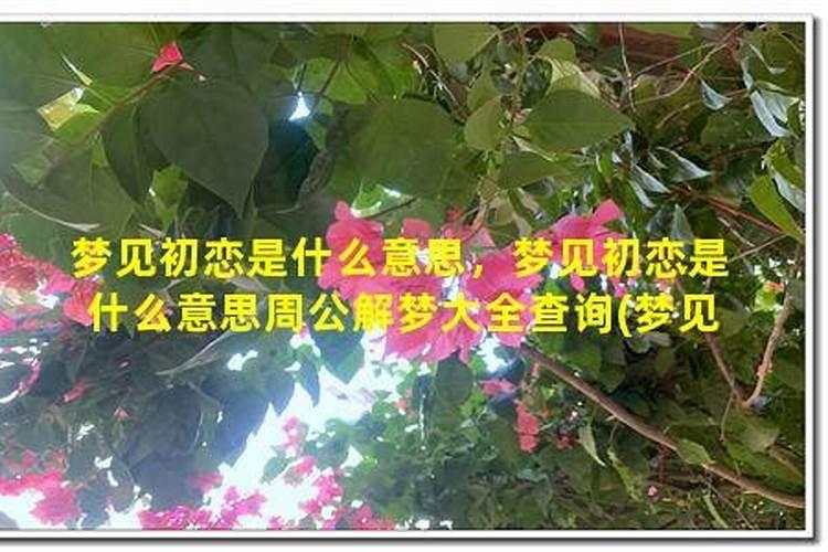 梦见初恋什么意思