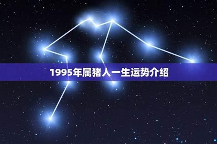 1995年出生一生运势如何