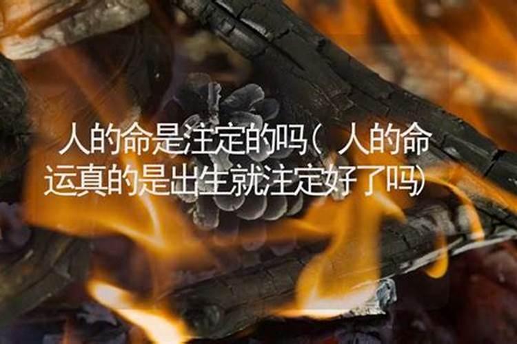 梦见别人怀孕了预示着什么预兆呢