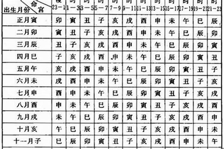 1995年12月18出生的人运势