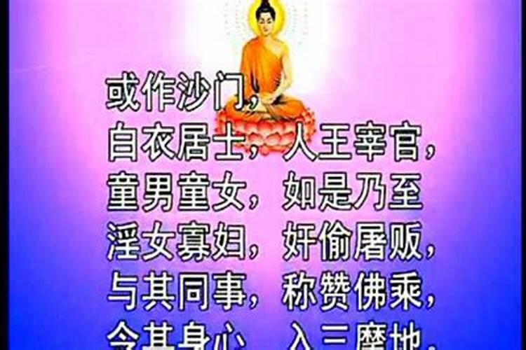 做梦梦到狗怀孕