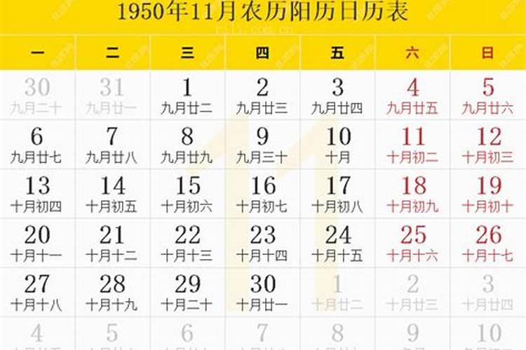 82年正月初一出生属什么