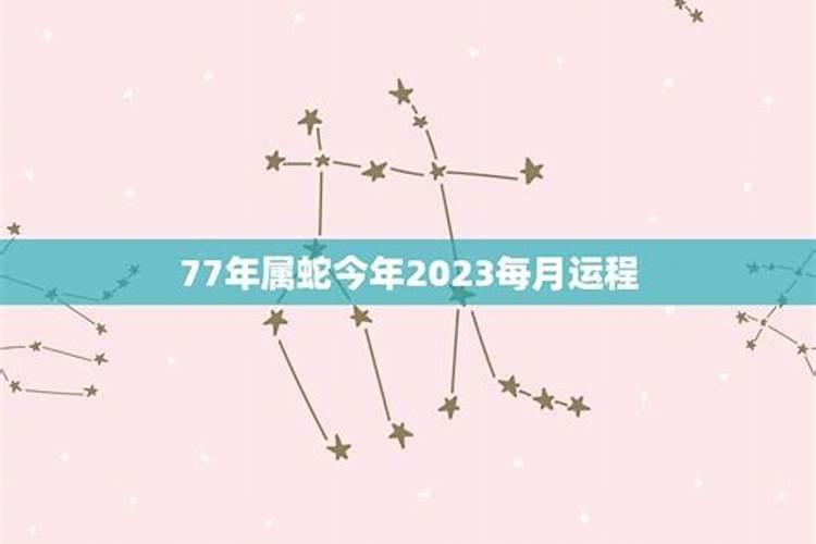 1995年属猪2024的运势如何