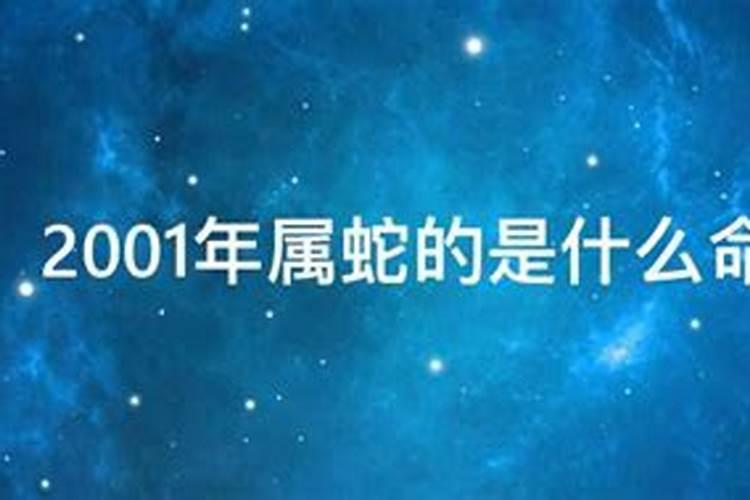 1987年兔2021年感情与婚姻