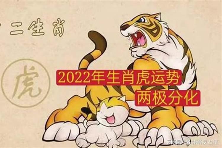 2022年属虎年运势及运程