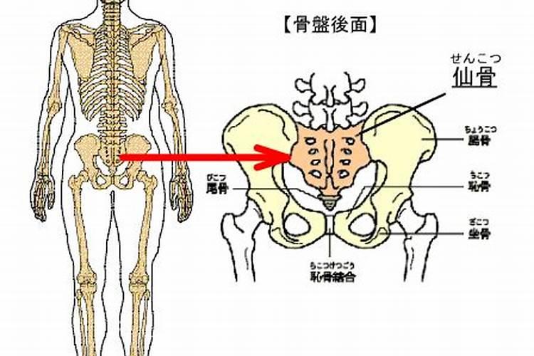 有仙骨的人都是童子命吗