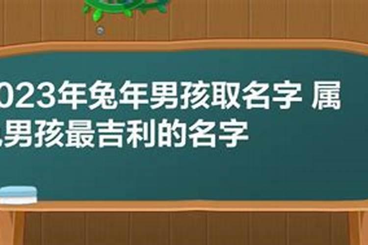 梦见大肥猪是什么意思有什么预兆