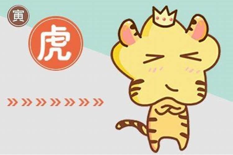 95年出生的猪2023今年运势