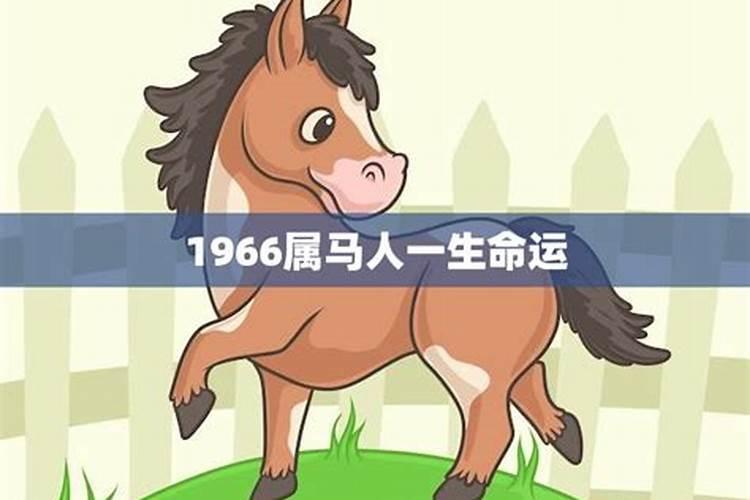 2023年属马男人的全年运势1966