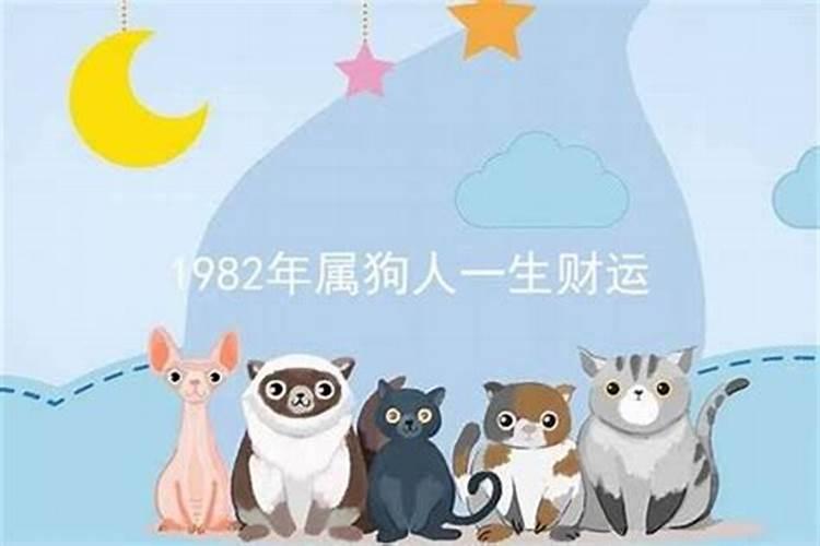 1982年属狗人运势每月运势