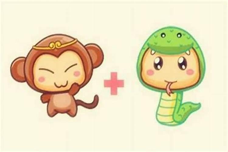 蛇和猴属相合吗?