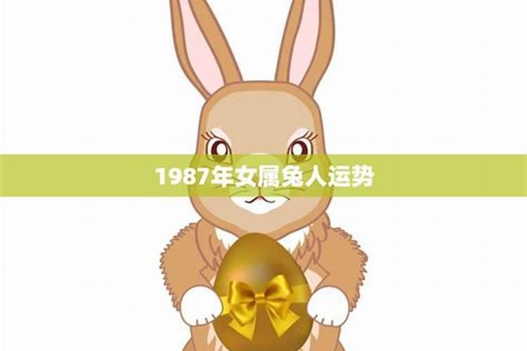 2022属兔人全年运势1987女性