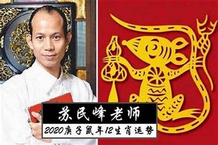 属马的今年犯太岁吗2019年运势