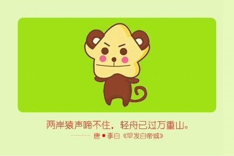 生肖猴今年运势幸运色