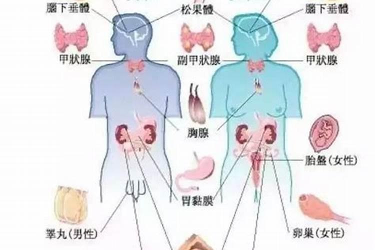 怎么了样为婴灵超度