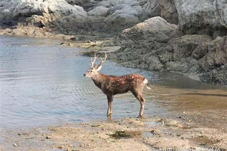 测命运和财运