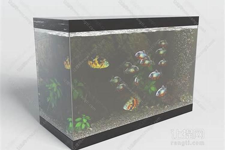 方形鱼缸和长方形鱼缸