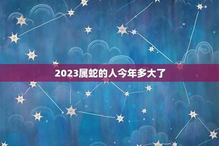 属蛇人今年的运势和命运男生