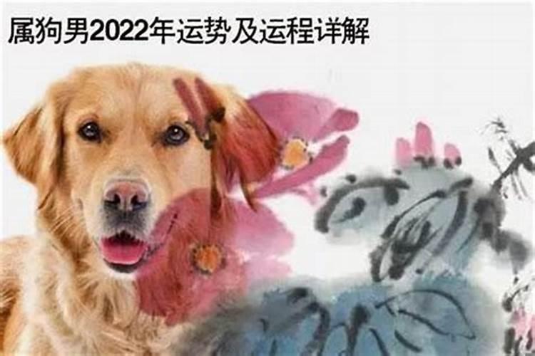属狗的2022年多大