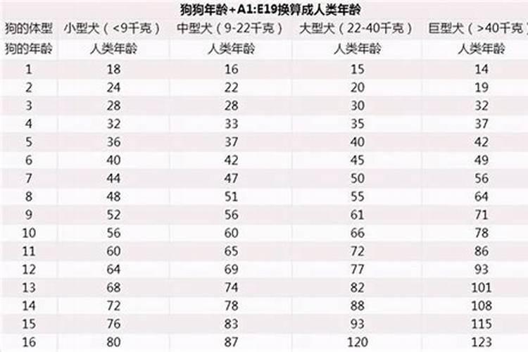 属狗的年龄表