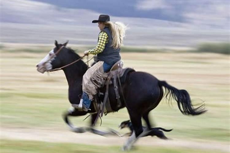 梦见自己和老公骑着马跑