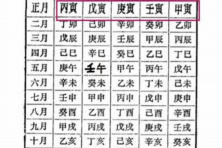 丁丑壬寅己卯日甲戌八字