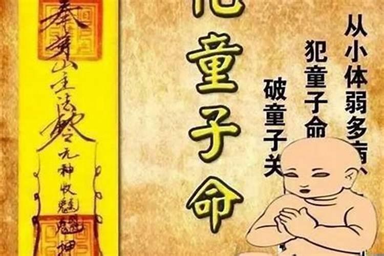 属鼠人生于农历九月