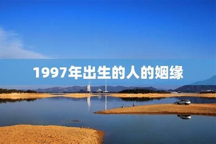 97年属牛男今年婚姻运势