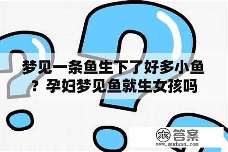 梦见一条鱼生下了好多小鱼仔