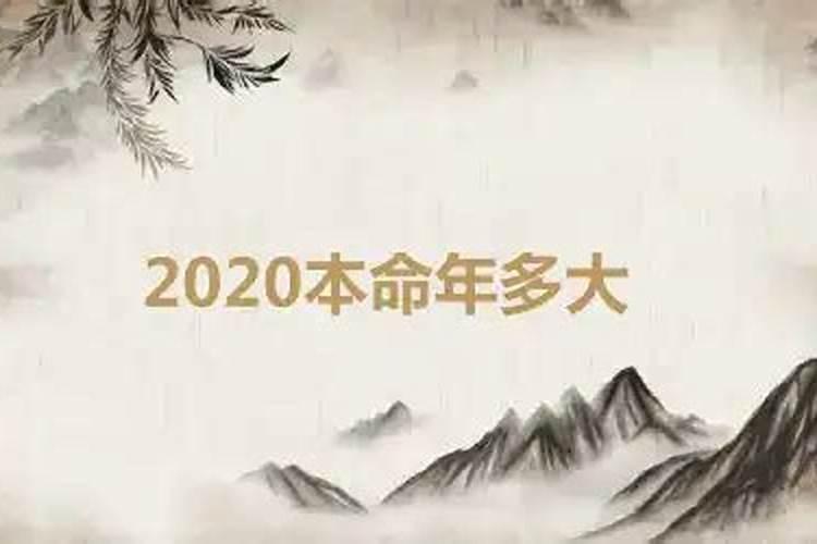 2020本命多大了