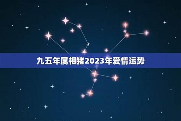 2023肖猪怎样增强感情运势