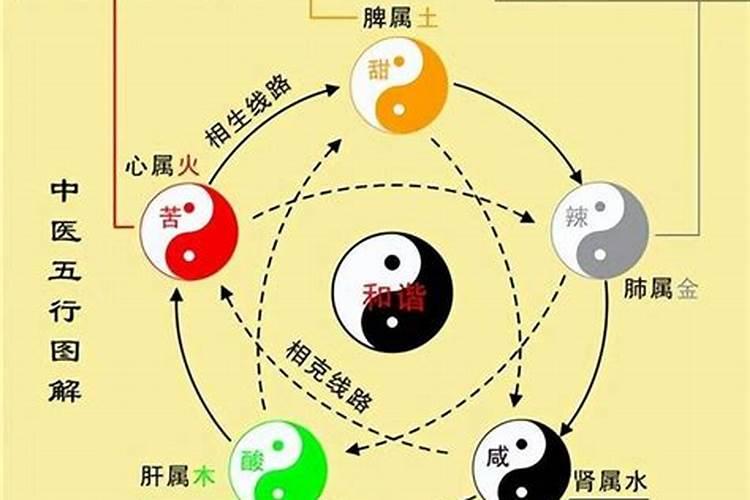 易经八卦与五行的关系