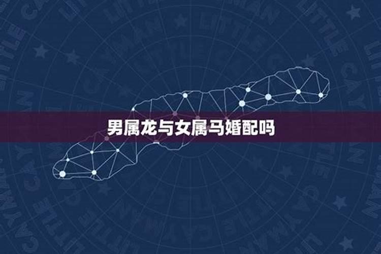 属兔的2024犯太岁是什么