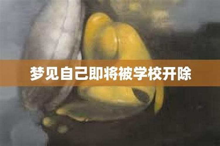 梦到自己被学校开除了是什么征兆