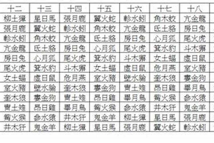 28岁是什么属相