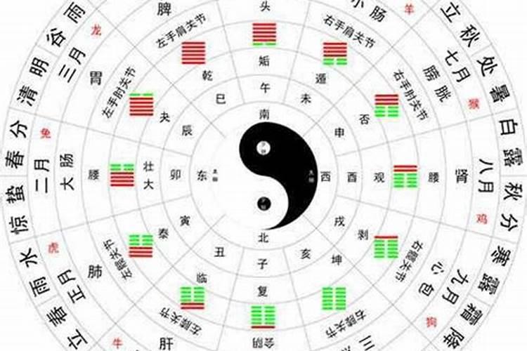 简字五行属什么