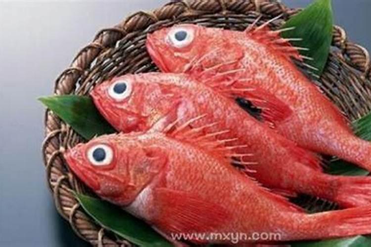 梦见大红鱼是什么寓意