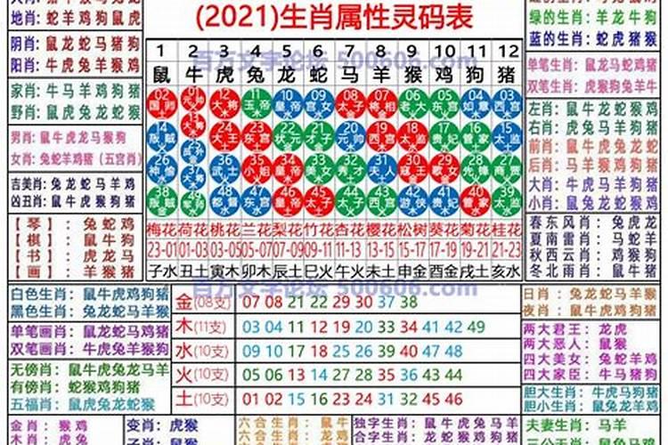 2021年新生肖表