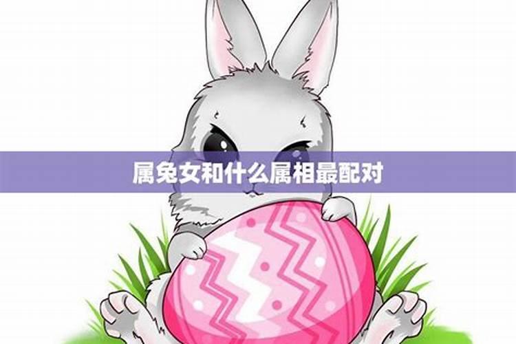 女兔忌讳什么属相