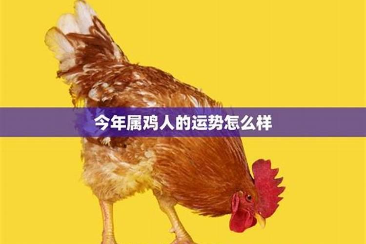 属牛犯太岁带什么饰品