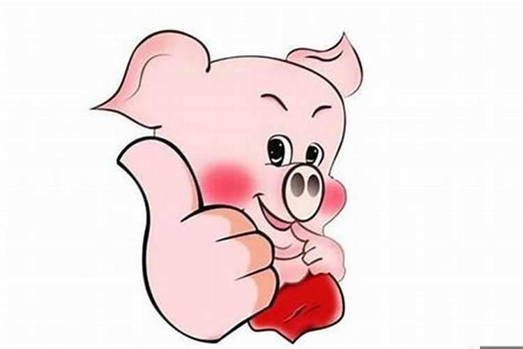 生肖猪是哪几年出生的人
