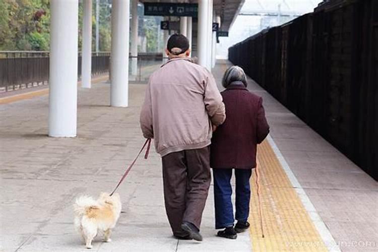 梦见死去爷爷是什么预兆周公解梦