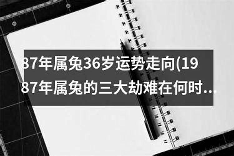 87年属兔36岁的财运